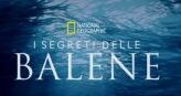 I segreti delle balene